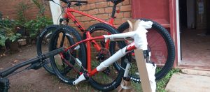 An Unforgettable Cycling Adventure in Antsirabe with the Trek Marlin 6 2024