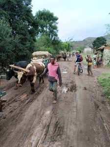An Unforgettable Cycling Adventure in Antsirabe with the Trek Marlin 6 2024